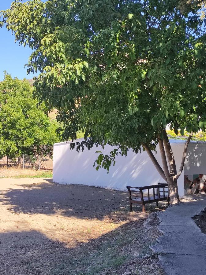 Alojamiento Rural Huerta Mandre Cuevas del Becerro ภายนอก รูปภาพ